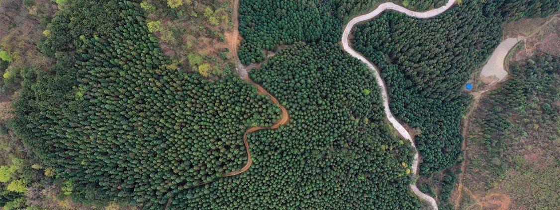 carbon neutrality